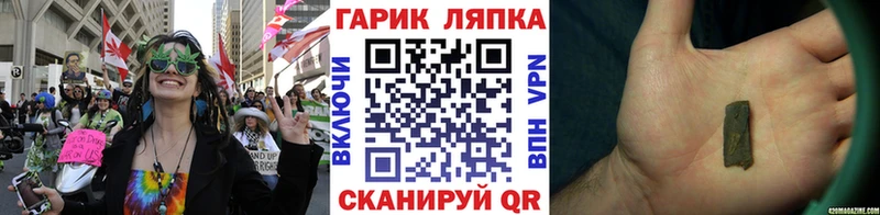 ГАШ гарик  Ефремов 