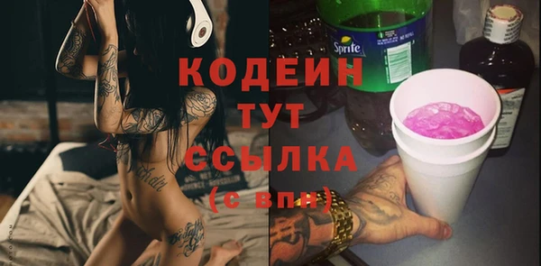 гидра Вязьма