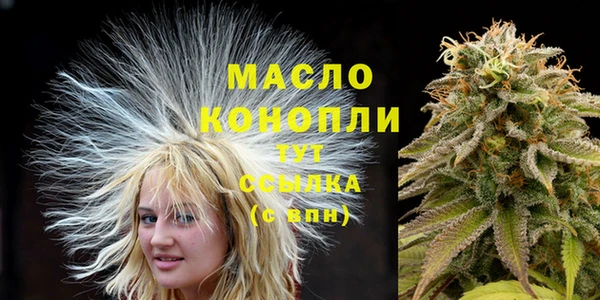 гидра Вязьма