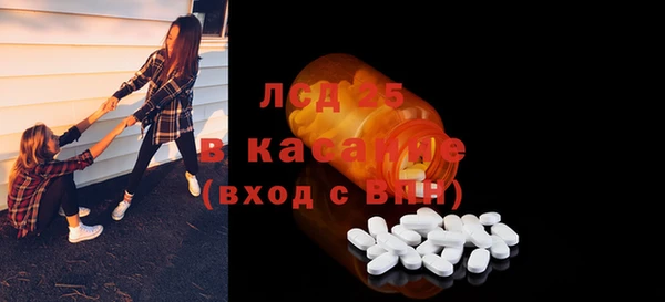 гидра Вязьма