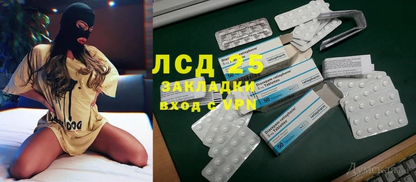 гидра Вязьма