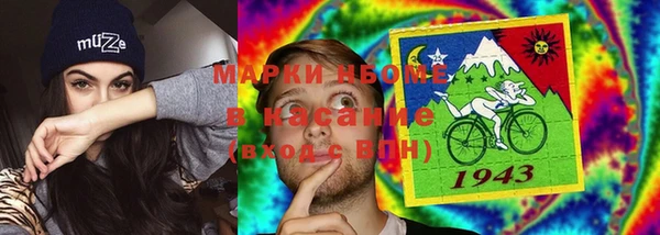 гидра Вязьма