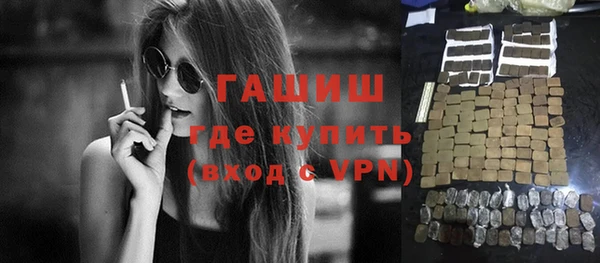 гидра Вязьма
