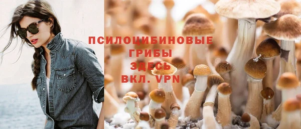 Альфа ПВП Вяземский