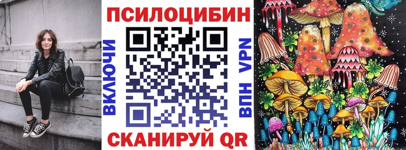 Галлюциногенные грибы прущие грибы  Ефремов 